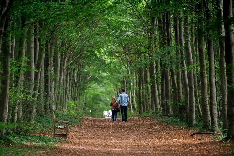 couple photographer wandlebury woods 022 1