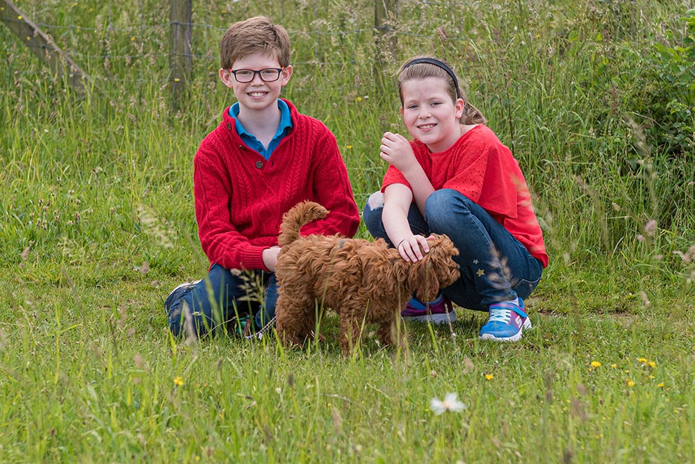 family photographer wandlebury woods 009 2