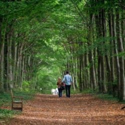 Couple-Photographer-Wandlebury-Woods-022 Couple photographer wandlebury woods 022