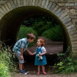 Family photographer wandlebury woods 001