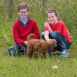 Family photographer wandlebury woods 009