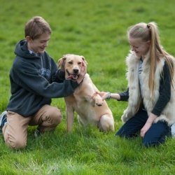 Family portraits cambridge