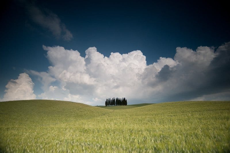 Tuscany009 l