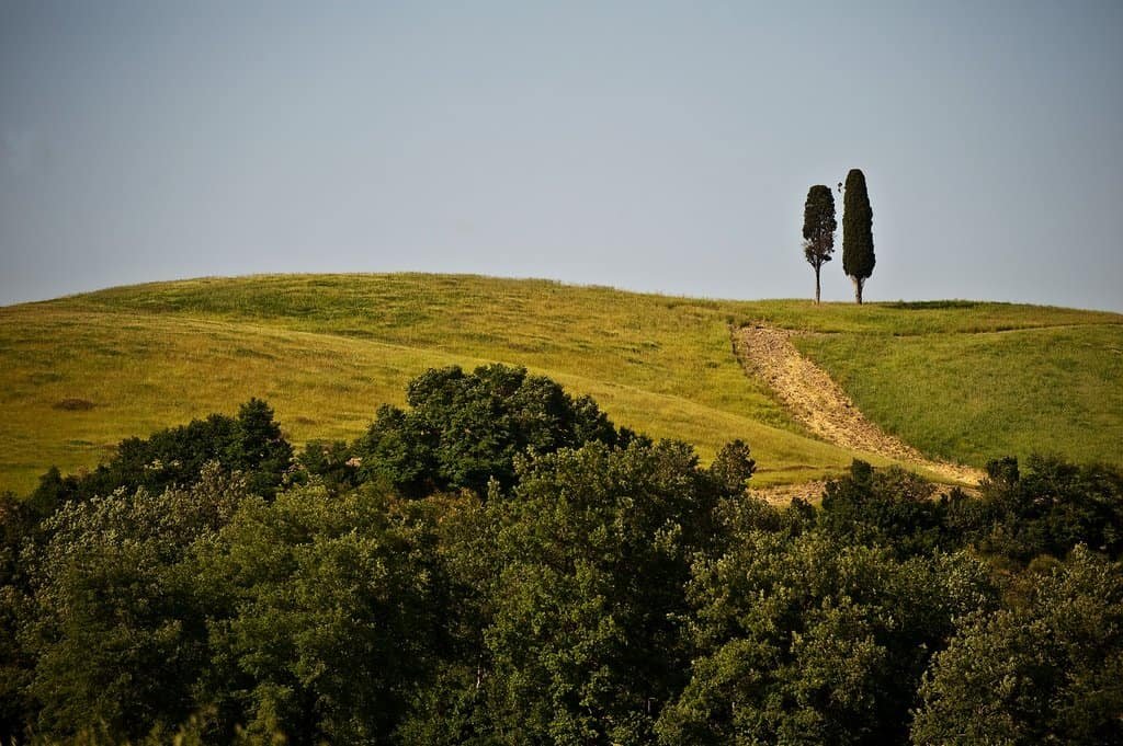 Tuscany193 xl