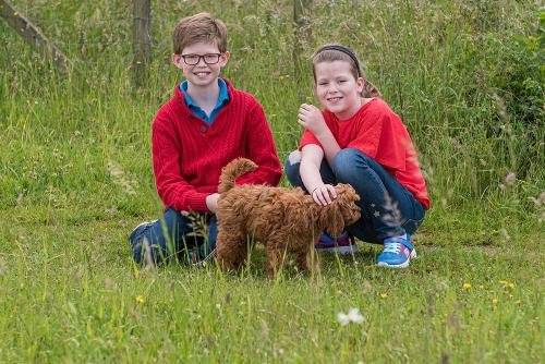 family-photographer-wandlebury-woods-009